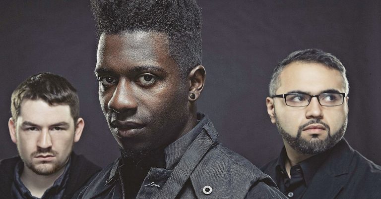 Animals as Leaders