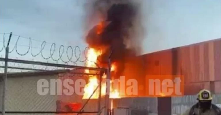 fender incêndio